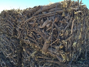 Продаю корень солодки #1545207