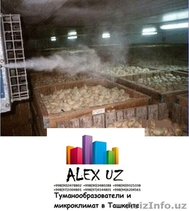 Туманообразователи ташкент Узбекистан,  микроклимат #1548571