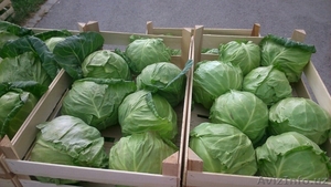 Российская компания приглашает к сотрудничеству #1549485