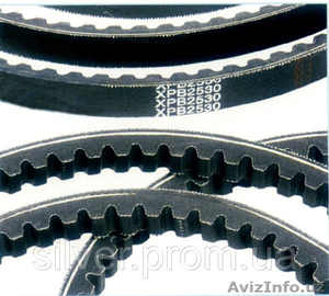 Grand Alliance Business #1570431