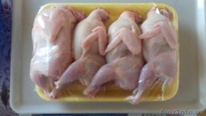 Мясо перепелов потрошенных #1576655