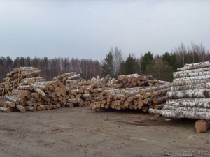 Бизнес Протекшн #1585214