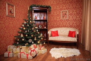 Мягкая мебель #1599771