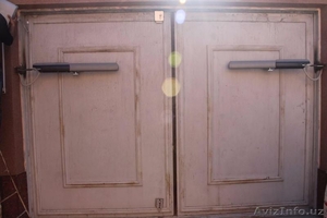 Продам Автоматика для распашных ворот CAME ATI5000 #1601647