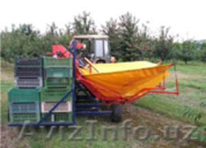 Комбайн для сбора косточковых культур «GACEK» #1601509