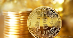 Консультирую новичков,  бизнесменов с нуля по трейдингу криптовалют #1642311