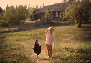 Отдых в деревне. Семейный отдых. Шашлык,  рыбалка,  агротуризм,  домашний зоопарк #1642731