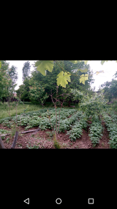 Срочно участок Туй-Тепа #1650926