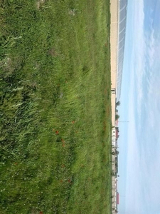 Дехконлар Диккатига! #1652918