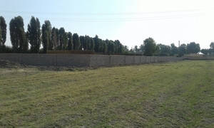 Продаётся земельный участок 60 соток  таш обл ( карасу) #1655346