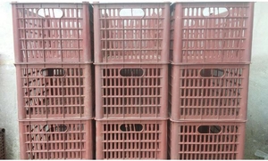 Пластиковые ящички под фрукты-опт #1654326