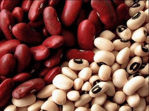 Фасоль #1663220