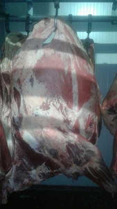 Мясо Говядины замороженное! #1673746