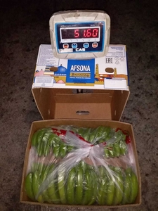 Бананы 23  -  22 кг оптом #1686915