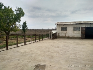 Продам ферма+дом  #1701901