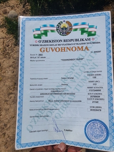 Потерян печать #1707102