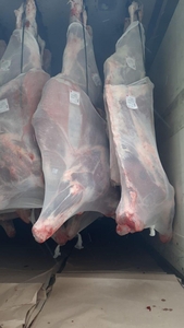 BEAR(BULL)HALAL, Belorusiyada ishlab chiqarilgan;  ГОВЯДИНА (БЫК) ХАЛЯЛЬ,  БЕЛАРУСЬ #1706996