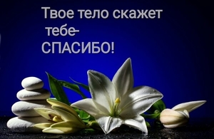 Magic massage #1708046