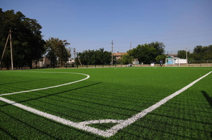 Постройка стадионов  #1713926