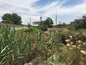 Продается земельный участок с решением на строит. в центре Янгиюля #1716472