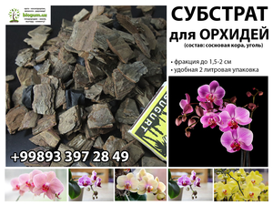 Готовый субстрат для орхидей/Орхидеялар учун тайёр субстрат #1716920