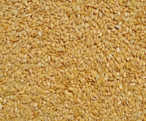 Лен золотистый  #1718024