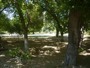 Куплю Участок. #1730002