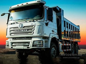Shacman F300 25 тонн #1731196