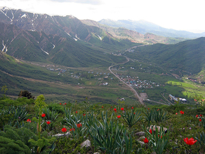 Такси в Чимган,  Амирсай,  Чарвак,  Бочка #1734820