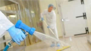 Уборка предприятия в Польше #1734887