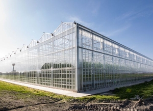 Zamonaviy Evropa issiqxonalari (современные европейские теплицы) #1679684