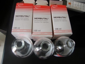 Buy Pentobarbital Sodium online,  Buy Nembutal online,  Order nembutal pentobarbit #1739621