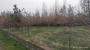 Дачный участок прямоугольной формы на задней стороне Ташморя #1742158