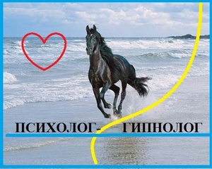 Психолог- Гипнолог. Консультации,  лечение,   гипноз. Бережно,  профессионально. #1632308