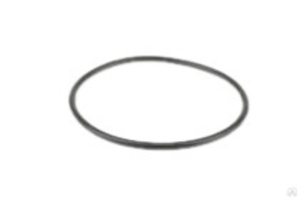 Кольцо уплотнительное АФНИ.754175.002 (седло) #1749661