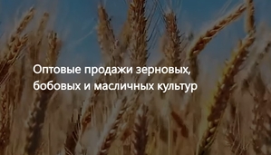 ООО Агропром - оптовая реализация продуктов питания в Узбекистане #1752464