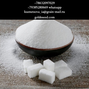 Свекловичный сахар оптом от завода Юг Руси в Узбекистане #1753217