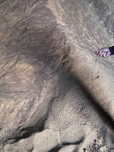 Шрот Рапс #1752937