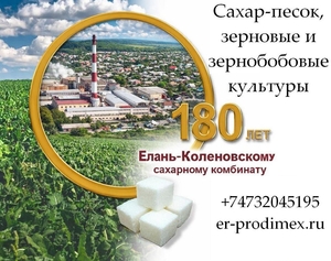 Сахар-песок,  зерновые и зернобобовые культуры от Елань-Коленовский СЗ #1753818