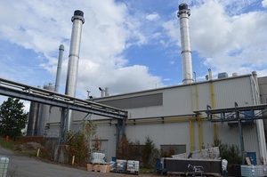 Электростанция на базе Siemens SST-300 на природном газе и биомассе. #1753868