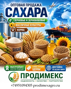 Сахар,  зерновые и зернобобовые,  масличные культуры,  корма в Узбекистане #1754107
